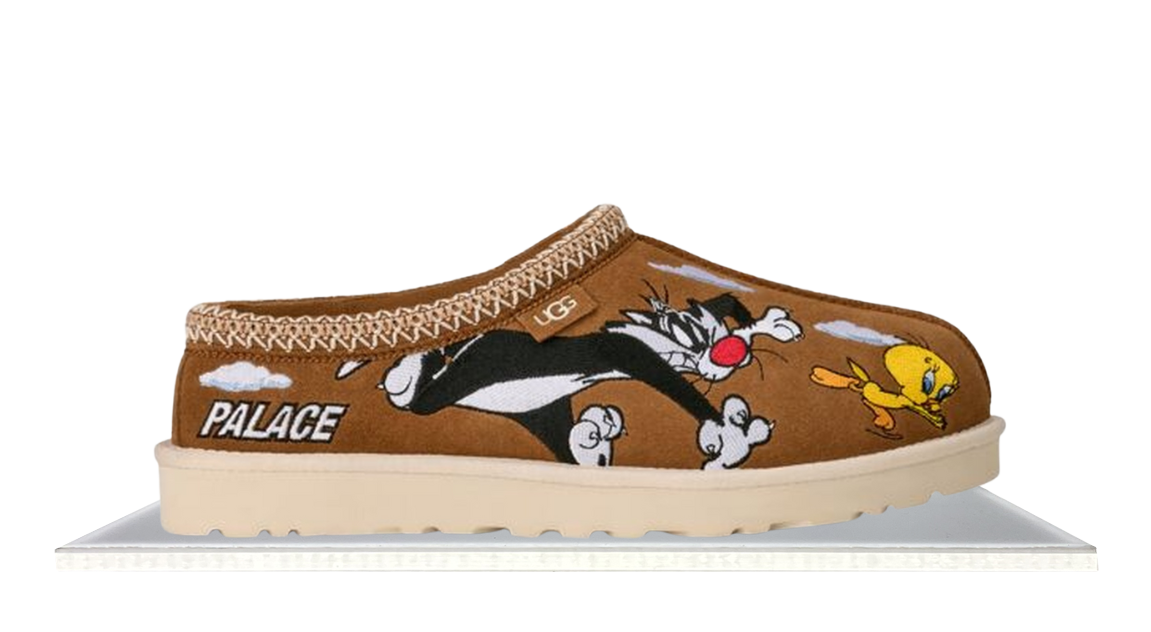 fallback text for an image