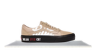 fallback text for an image