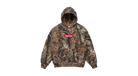 fallback text for an image