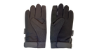 fallback text for an image