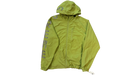 fallback text for an image