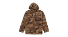 fallback text for an image