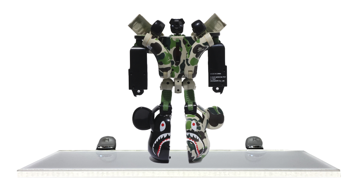 fallback text for an image