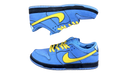 fallback text for an image