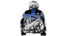 fallback text for an image
